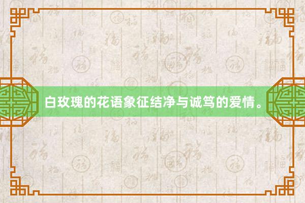 白玫瑰的花语象征结净与诚笃的爱情。