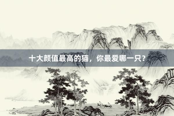 十大颜值最高的猫，你最爱哪一只？