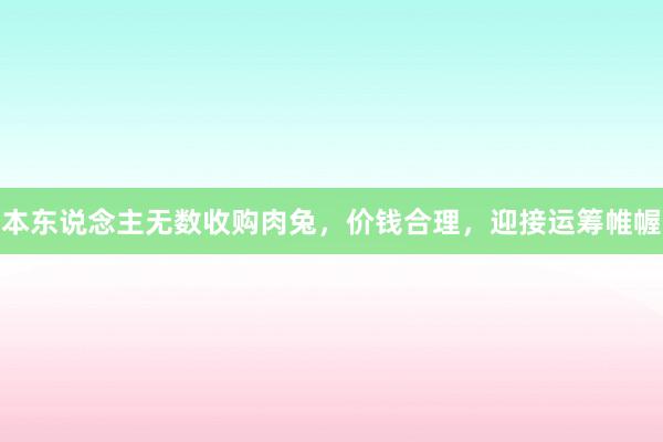 本东说念主无数收购肉兔，价钱合理，迎接运筹帷幄